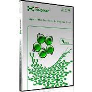 ConceptDraw MINDMAP - 10 Users