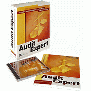 Audit Expert 4 - Professional несетевая версия