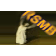 ReelSmart Motion Blur - Regular version